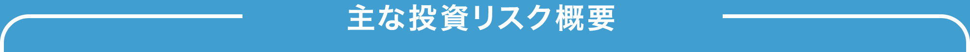 主な投資リスク概要