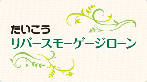 たいこうリバースモーゲージローン