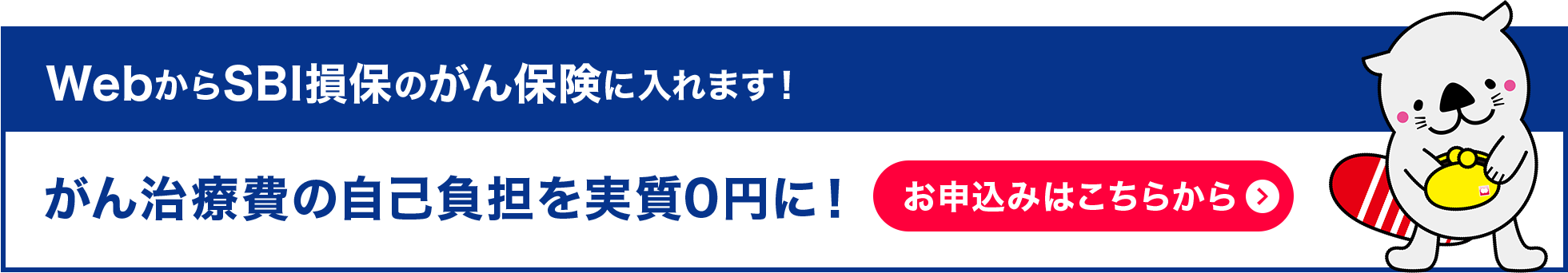 WebからSBI損保のがん保険に入れます！がん治療費の自己負担を実質0円に！お申込みはこちらから