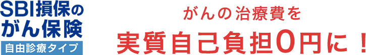 SBI損保のがん保険 がんの治療費を実質自己負担0円に！